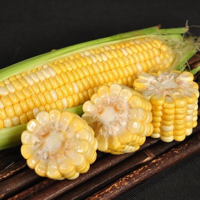 云南水果玉米5斤9斤包邮当季新鲜脆甜玉米棒牛奶包谷甜玉米整箱 1箱图3