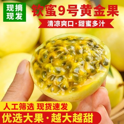 百香果钦蜜9号黄金百香果 现摘现发 支持一件代发 甜度高汁水多