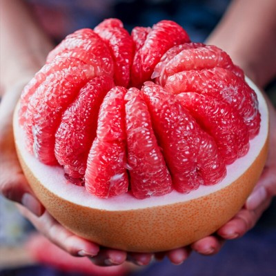 福建平和红心蜜柚当季新果产地直销果园直供皮薄肉厚多汁一件代发图2