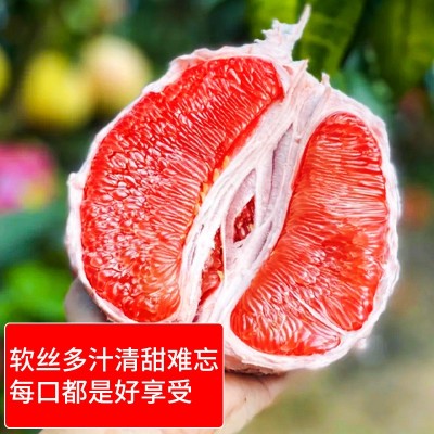 福建平和红心蜜柚当季新果产地直销果园直供皮薄肉厚多汁一件代发图3