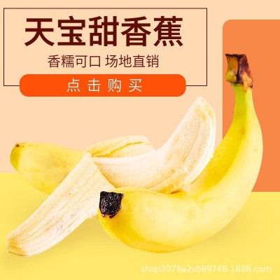 福建漳州天宝精品香蕉农家现摘当季新鲜水果香蕉banana图3