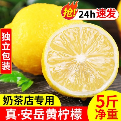 四川安岳黄柠檬新鲜水果奶茶店专用现摘无籽薄皮一级香水甜柠檬青