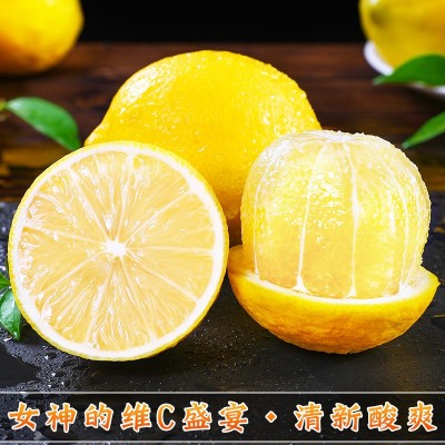 四川安岳黄柠檬新鲜水果奶茶店专用现摘无籽薄皮一级香水甜柠檬青图4