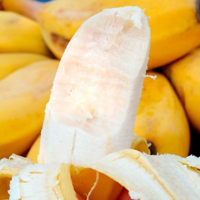 正宗广西苹果蕉粉香蕉新鲜9斤当季整箱水果甜芭蕉圆香焦banana图4