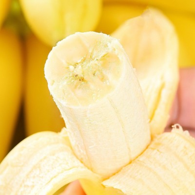 正宗广西苹果蕉粉香蕉新鲜9斤当季整箱水果甜芭蕉圆香焦banana图2