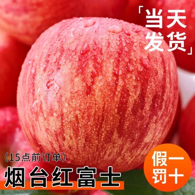 烟台红富士苹果10应当季斤新鲜水果整箱山东栖霞脆甜冰糖心丑平果