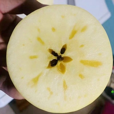 烟台黄金奶油富士苹果糖心当季整箱山东栖霞白苹果礼品盒一件代发 1盒