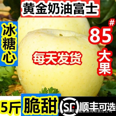 烟台黄金奶油富士苹果糖心当季整箱山东栖霞白苹果礼品盒一件代发 1盒图2
