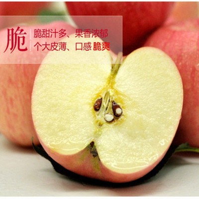 山东烟台红富士苹果礼品盒栖霞奶油苹果水果新鲜10斤脆甜糖心代发 1箱图2