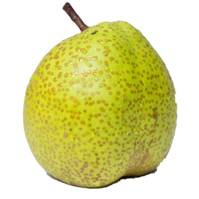 莱阳照旺庄莱阳梨子贡梨芦儿港山东特产新鲜水果5斤山东莱阳慈梨  1件图4