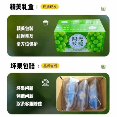 阳光玫瑰葡萄新鲜水果晴王提子青提大果整串国产整箱批发 5件图2