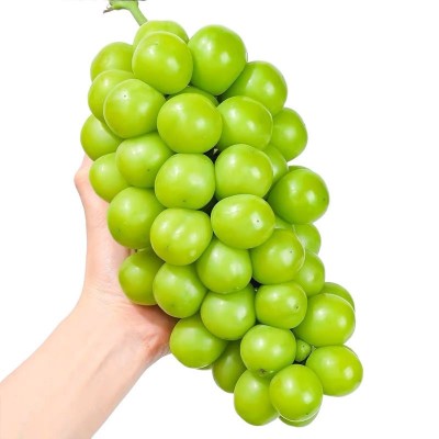 阳光玫瑰葡萄新鲜水果晴王提子青提大果整串国产整箱批发 5件图4