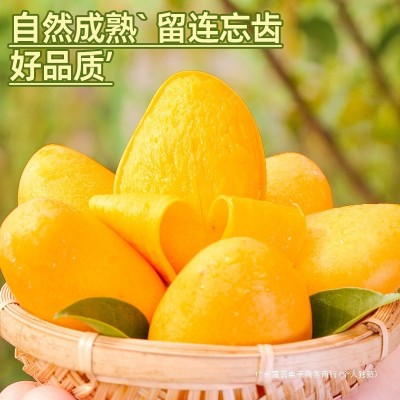海南小台农芒果10斤新鲜现摘小台芒应当季热带水果特产芒果包邮5 1箱图2
