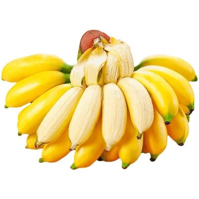 【严选】广西苹果蕉粉蕉新鲜香蕉当季新鲜水果现摘产地直发批发 1箱图4