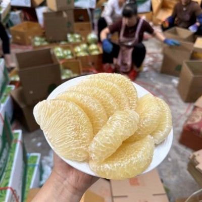 新鲜泰进口青柚脆甜多汁青皮白心大果柚1-4个新鲜直发包邮 1件