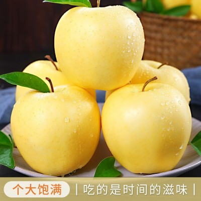 黄元帅苹果新鲜水果当季奶油红富士粉面刮泥黄金帅烟台香蕉平安果 1件图4