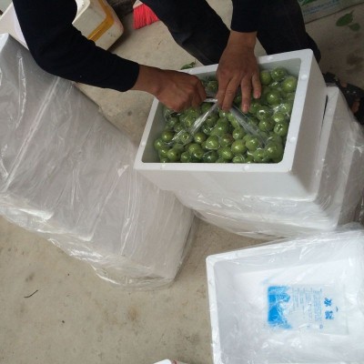 云南高山新鲜胭脂梅青梅鲜果胭脂红梅泡酒酵素梅注重外观慎重下单 1件图4