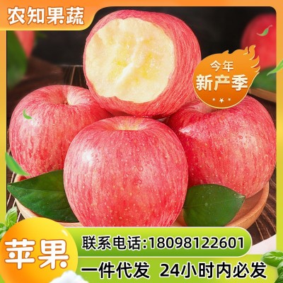 红富士正宗陕西洛川苹果水果新鲜当季整箱红富士冰糖心一级脆甜 100箱图2