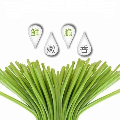 【源头产地】2025新鲜蒜苔嫩蒜苔新鲜蔬菜嫩蒜苗鲜红帽蒜苔鲜蒜苔 100件图5