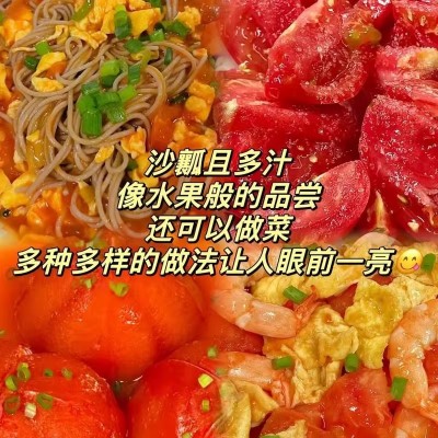 一件代发商超沙瓤西红柿5斤装普罗旺斯自然熟柿子蔬菜水果红番茄 1斤图4