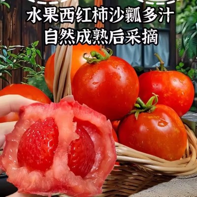 一件代发商超沙瓤西红柿5斤装普罗旺斯自然熟柿子蔬菜水果红番茄 1斤图5