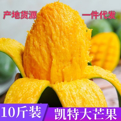 攀枝花凯特芒果新鲜大果热带水果青皮甜心大现摘现发鲜摘四川直供 1箱
