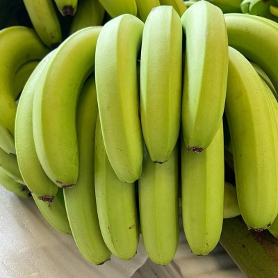 【当季西双版纳威廉斯香蕉】软糯香甜现砍现发9斤新鲜水果代发图3