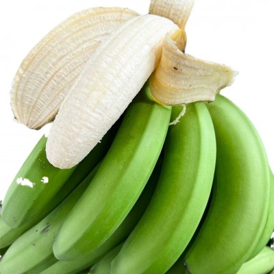 【当季西双版纳威廉斯香蕉】软糯香甜现砍现发9斤新鲜水果代发图5
