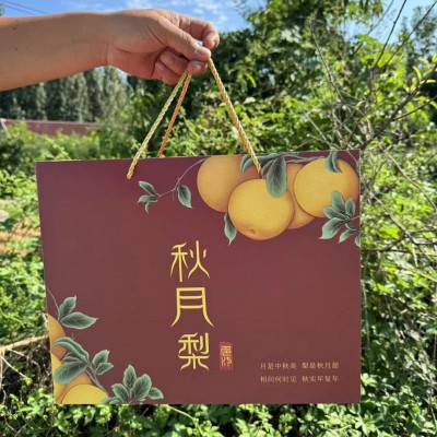 【山东网红秋月梨蜜梨】王牌级别酥梨爆汁细腻5斤新鲜水果代发图5