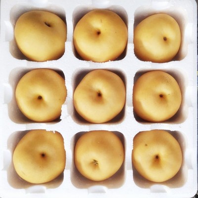 【山东网红秋月梨蜜梨】王牌级别酥梨爆汁细腻5斤新鲜水果代发图4