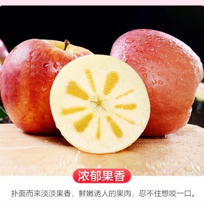 红富士苹果脆甜爽口多汁果园现摘当季新鲜大苹果10斤装产地直发图4