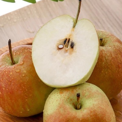 山西玉露香梨水果果园直发10斤整箱批发现摘脆甜应季酥梨图4