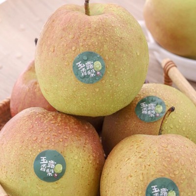 山西玉露香梨水果果园直发10斤整箱批发现摘脆甜应季酥梨图2