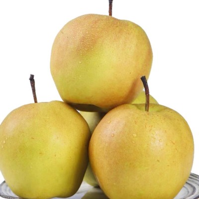 山西玉露香梨水果果园直发10斤整箱批发现摘脆甜应季酥梨图5