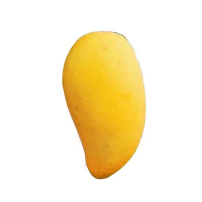 海南金煌芒新鲜水仙芒果斤装整箱薄皮当季孕妇水果果园直发包邮图5