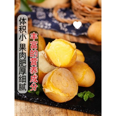 湖北热卖迷你小土豆土豆马铃薯黄心斤蔬菜整箱当季现挖10恩施新鲜图3