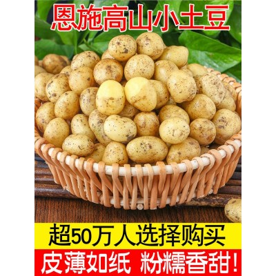 湖北热卖迷你小土豆土豆马铃薯黄心斤蔬菜整箱当季现挖10恩施新鲜
