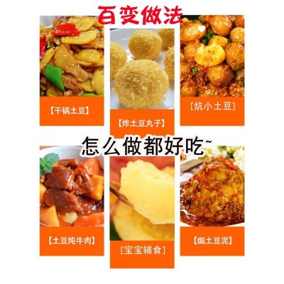 湖北热卖迷你小土豆土豆马铃薯黄心斤蔬菜整箱当季现挖10恩施新鲜图5