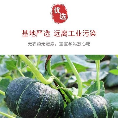 贝贝南瓜新鲜板栗味老南瓜正宗甜粉糯婴儿小南瓜5斤包邮水果蔬菜图4