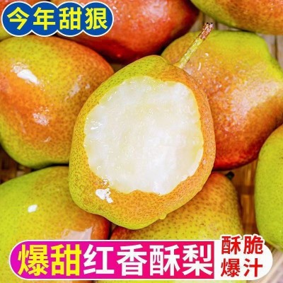 新疆库尔勒香梨香梨源自新疆新鲜水果梨子3/5/10斤脆甜青皮薄图4