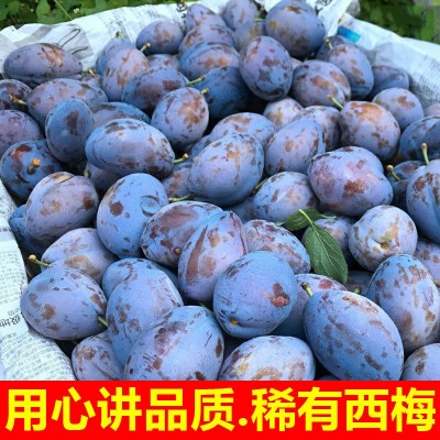 新疆西梅新鲜水果批发应季当季高山大西梅鲜果李子孕妇宝宝一整箱图3