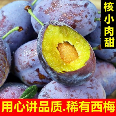 新疆西梅新鲜水果批发应季当季高山大西梅鲜果李子孕妇宝宝一整箱