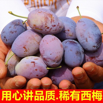 新疆西梅新鲜水果批发应季当季高山大西梅鲜果李子孕妇宝宝一整箱图5