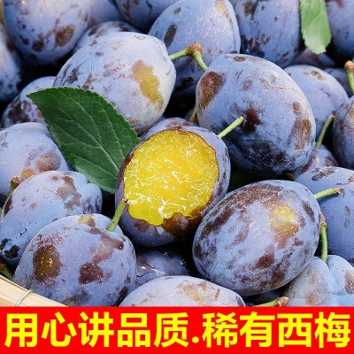 新疆西梅新鲜水果批发应季当季高山大西梅鲜果李子孕妇宝宝一整箱图4