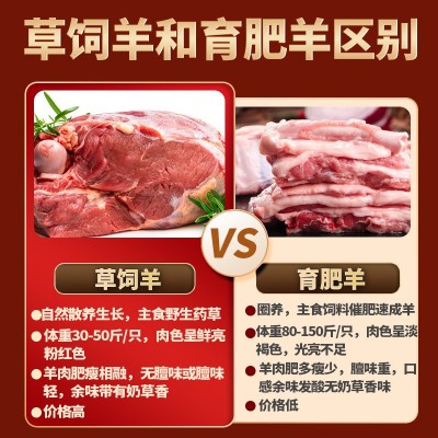 首菜首家 苏尼特羊肉烧烤食材羊肉卷源头养殖火锅食材羊排羊肉 5件图2