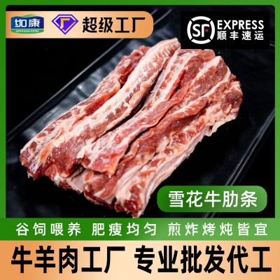 牛肋条安格斯澳洲谷饲原切牛肋条牛腩烧烤商用韩式烤肉雪花 牛肋条 1袋