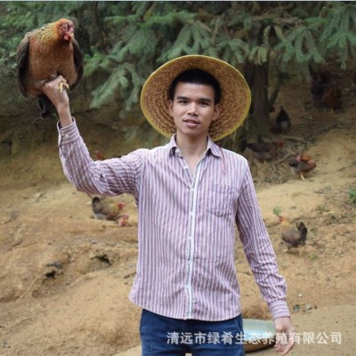 【绿肴乐】广东清远鸡农家散养210天土鸡老生整鸡老母白切走地鸡 1只图2