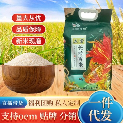 东北五常大米长粒香米九洲有道 5KG真空包装稻香米现磨现发原产地图2