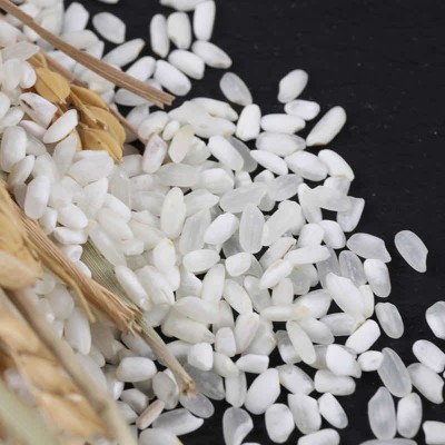 24年东北大米5kg辽星生态白米新米农家自产白粒米10斤礼品批发图2