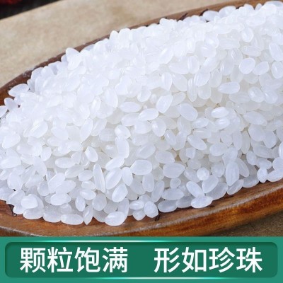2024年新米正宗东北大米10斤20斤珍珠米农家自产便宜大米批发价